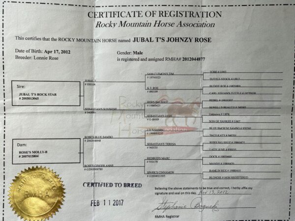 Jubal T's Johnzy Rose - Image 15