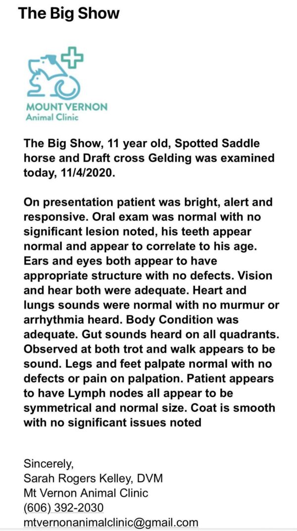 The Big Show - Image 11