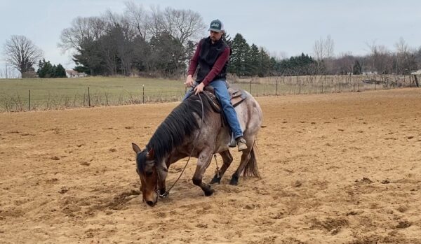 FQHR Moonshine - Image 19