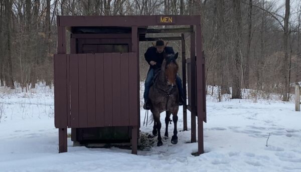 FQHR Moonshine - Image 15