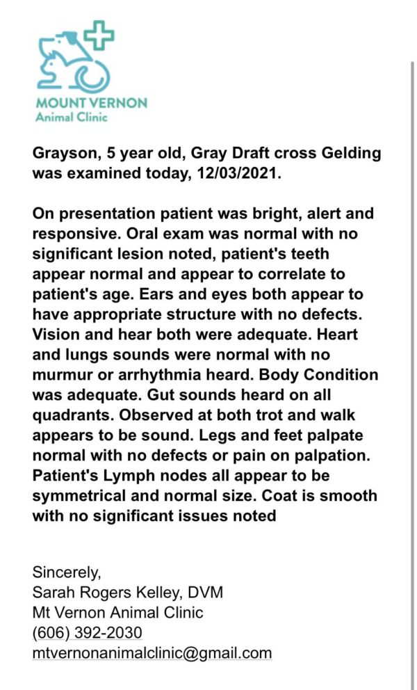 Amazing Greyson - Image 3
