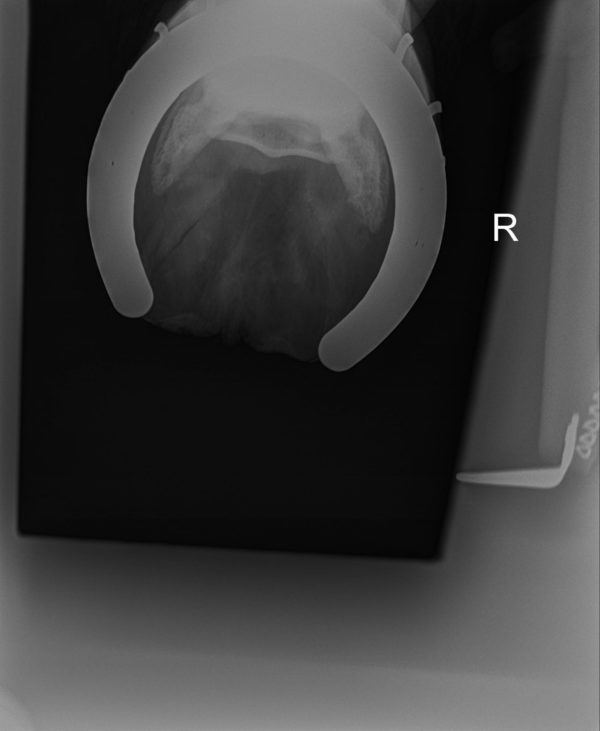 JW-All Power - Image 8