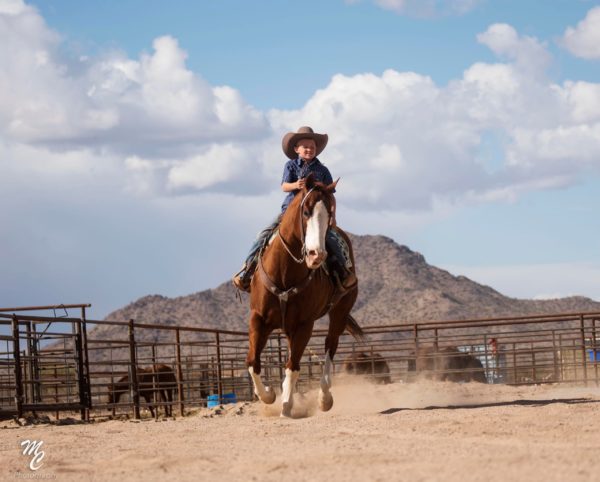 Pour Me A Pendleton - Image 5