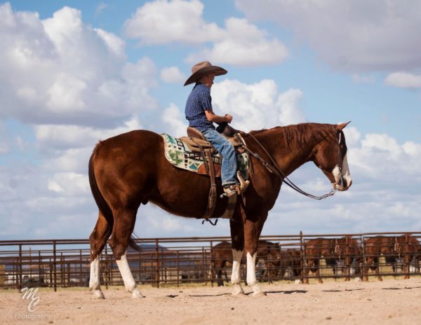 Pour Me A Pendleton - Image 4