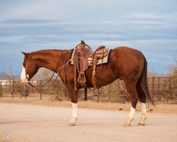 Pour Me A Pendleton - Image 3
