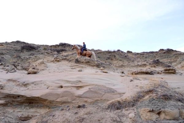 Wyoming - Image 10