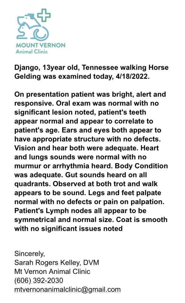Django - Image 2