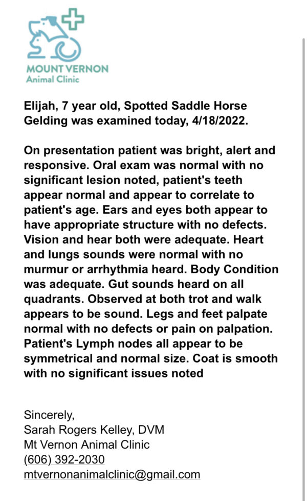 Elijah - Image 2
