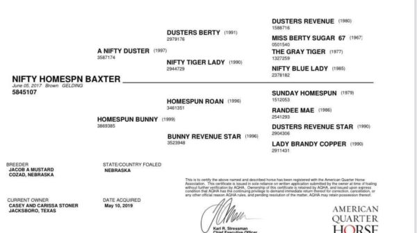 Nifty Homespn Baxter - Image 12
