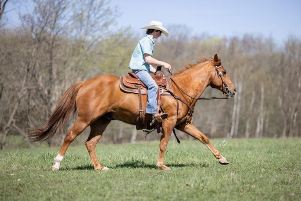 Bruno - Image 13
