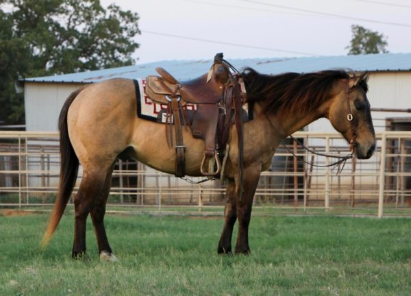LeDoux