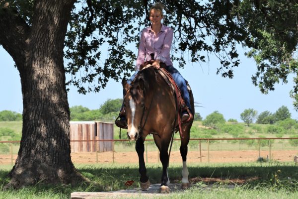 JLS Buckshot - Image 2