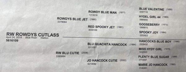 RW Rowdy Cutlass - Image 16