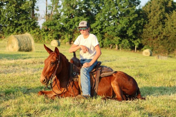 Cletus
