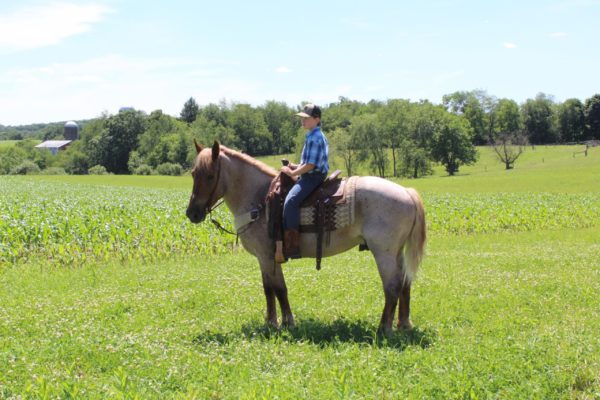 Rhett - Image 9