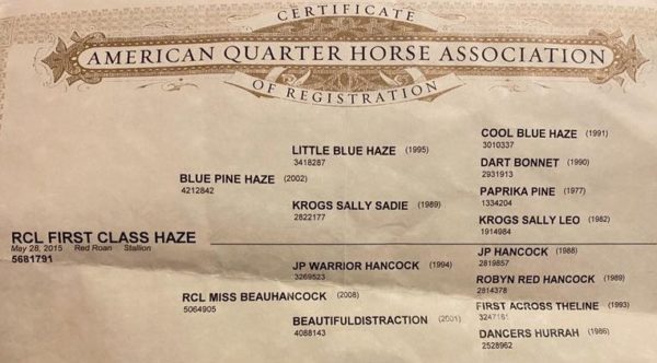 RCL First Class Haze - Image 10