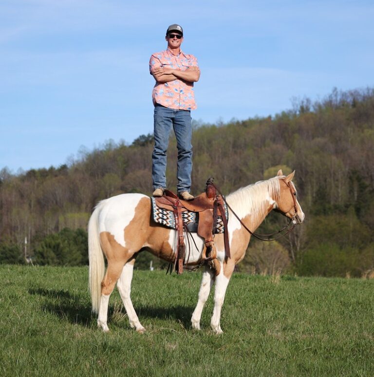 Malibu Platinum Equine Auction