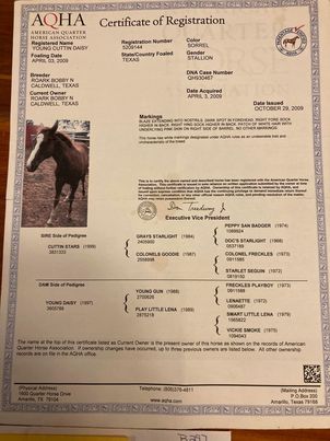 Colonel Young Cuttin Daisy - Image 3