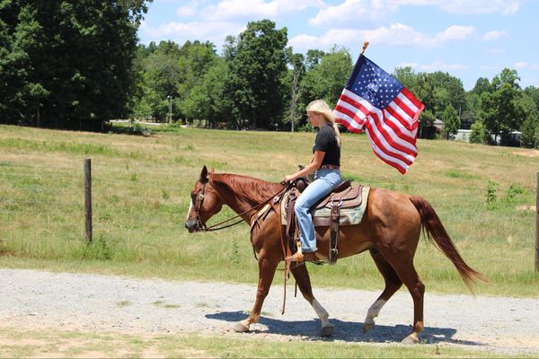 Colonel Young Cuttin Daisy - Image 5