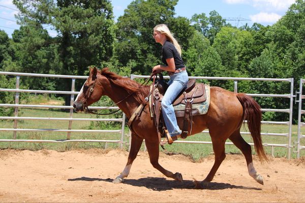 Colonel Young Cuttin Daisy - Image 6