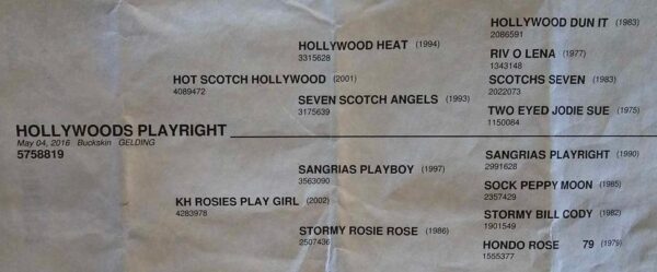 Hollywoods Playright - Image 2