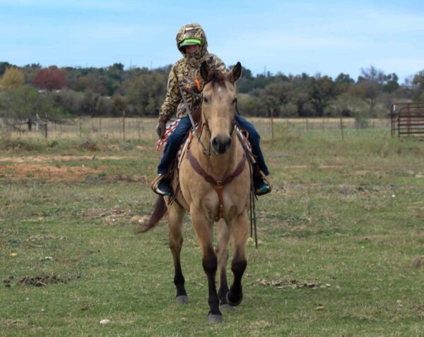Gunsmoke - Image 8