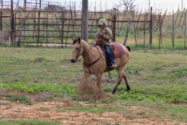 Gunsmoke - Image 9