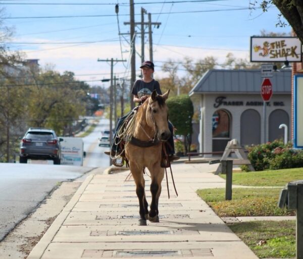 Gunsmoke - Image 13