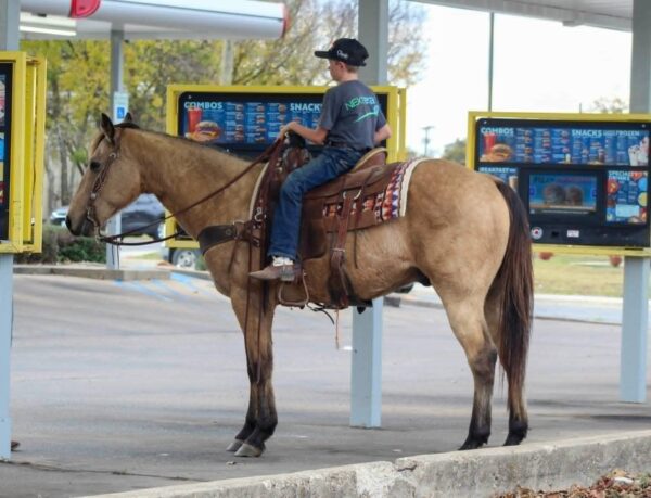 Gunsmoke - Image 14