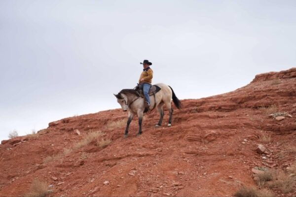 Adrifty Smokin Vegas - Image 11