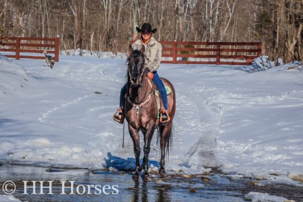 Ice Charlie Kiss Leo - Image 6