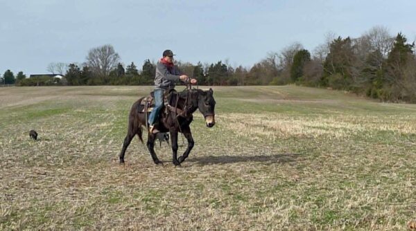 Earnie - Image 4