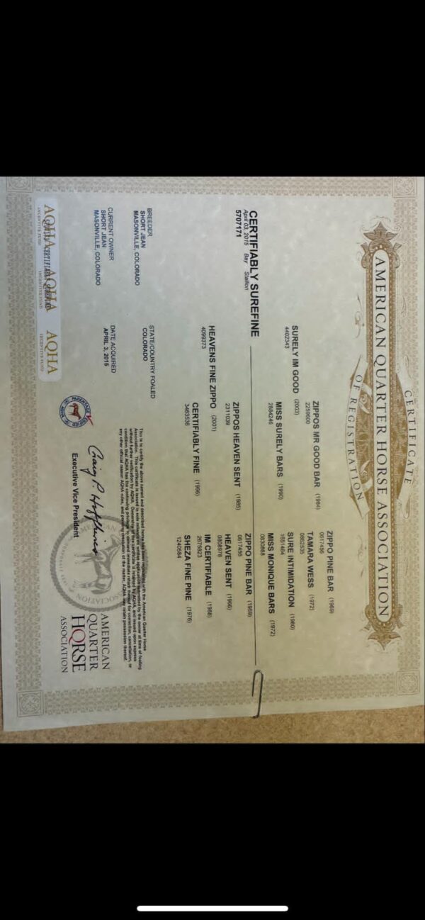 Certifiably Surefine - Image 3