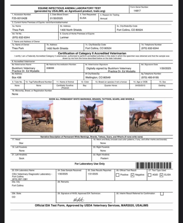 Certifiably Surefine - Image 5