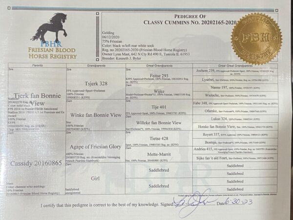 Classy Cummins - Image 4