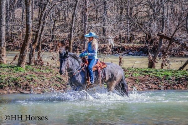 Miss Appalachia - Image 12