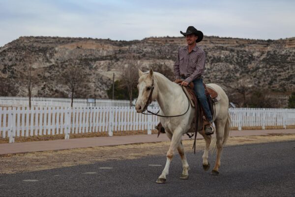Andy - Image 6