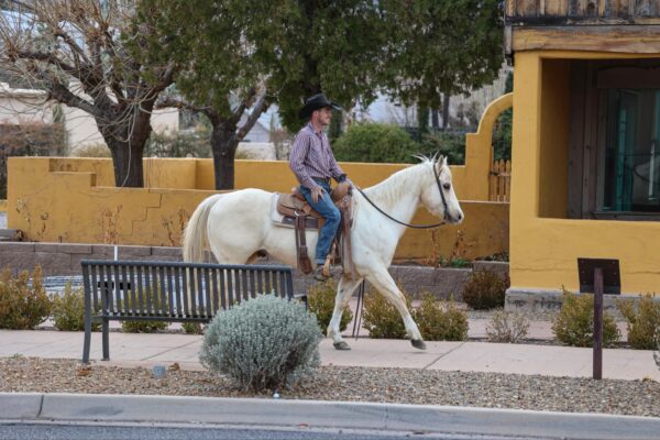 Andy - Image 10