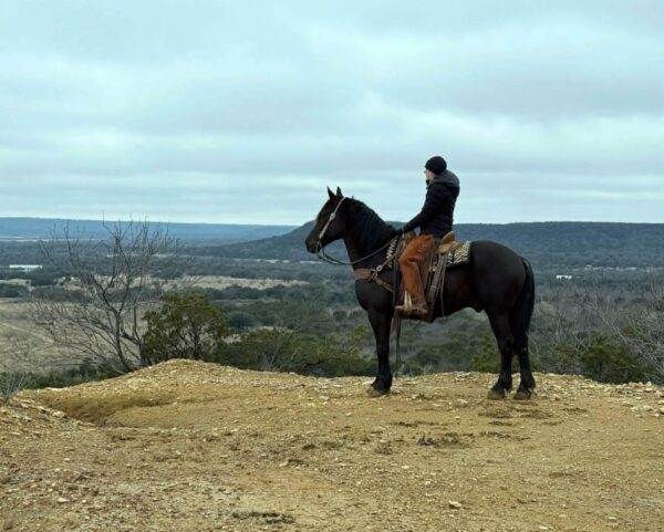 Rockstar - Image 6