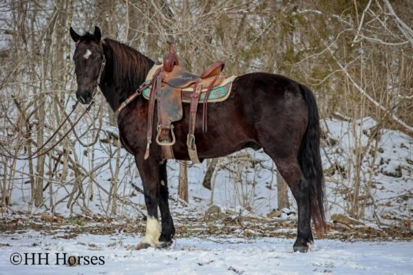Uncle Hershel - Image 6