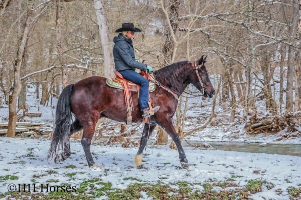 Uncle Hershel - Image 12