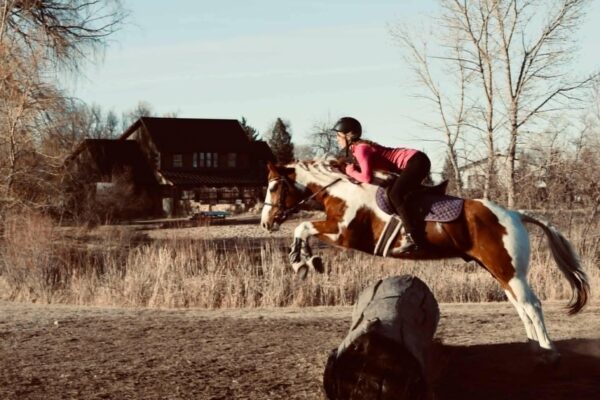Ringo - Image 18
