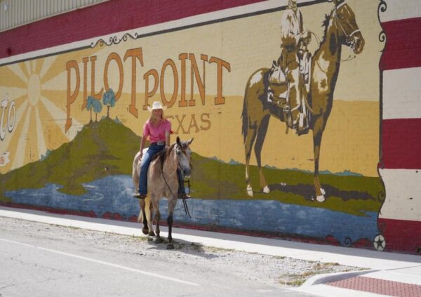 CP Hollywood Jackpot - Image 7