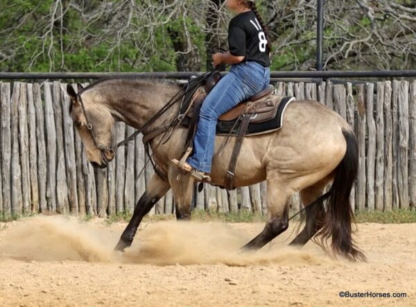 D Bar Twist - Image 26