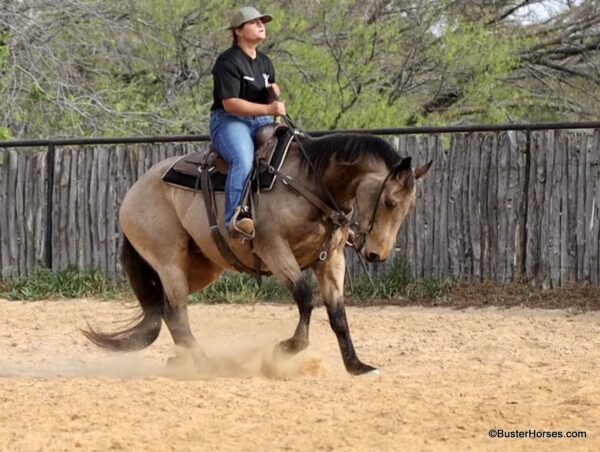 D Bar Twist - Image 34