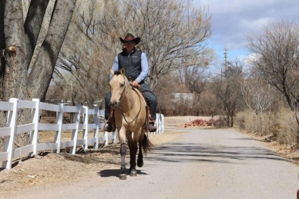 Charlie - Image 12