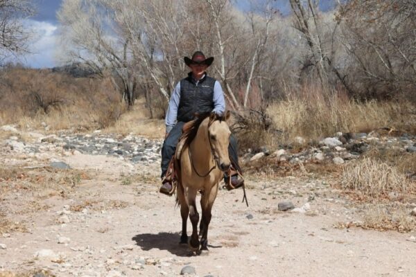 Charlie - Image 13