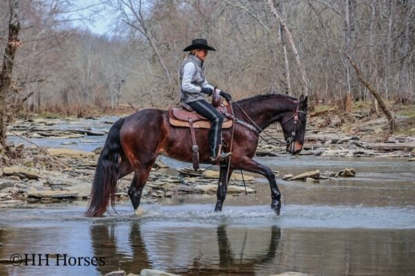 Moonshine - Image 3