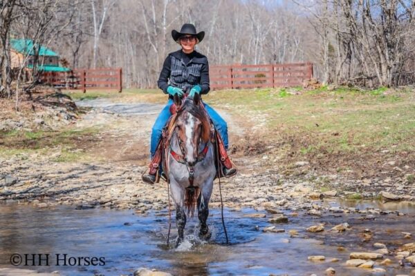 Gypsy Rose - Image 6