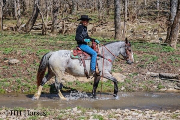 Gypsy Rose - Image 7